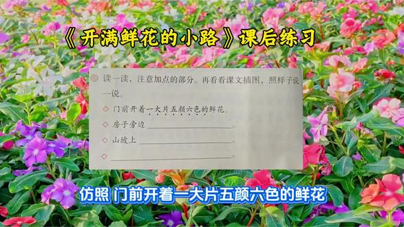 第 12 集|《开满鲜花的小路》|课后习题|句子仿写#真实生活分享计划 #二年级语文 #每天学习一点点 #家长收藏孩子受益 #考试周
