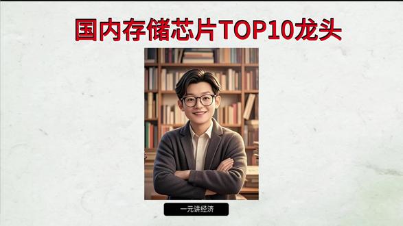 涨价核心存储芯片核心TOP10#存储芯片 #存储 #芯片 #基金 #股票