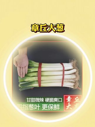 【四指葱】章丘大葱山东新鲜大葱3/5/10斤装批发蘸酱精甄选蔬菜甜脆#大葱 #章丘大葱 #山东新鲜大葱
