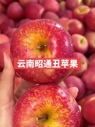 云南昭通糖心丑苹果,果肉细腻,脆甜可口 #糖心苹果 #现摘现发 #苹果#丑苹果 #脆甜多汁