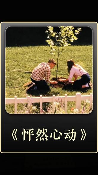 #《怦然心动》#抖音精选 #抖音细糠版 #抖音精选细糠版 #影视解说 #解锁精选云假期