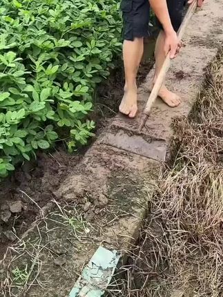 #农具 #铲子 #强烈推荐