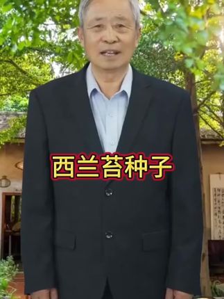 #西兰苔种子 现在种下,整个冬天都能吃到鲜嫩脆甜的#西兰苔 营养丰富,关键是好种植#阳台小院均可种植