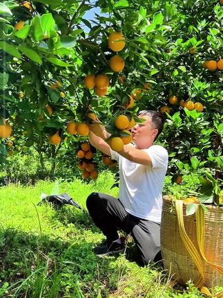 桂林高山夏橙,香甜多汁,价格不贵,果肉晶莹剔透像果冻一样,大口大口吃很过瘾 #桂林夏橙