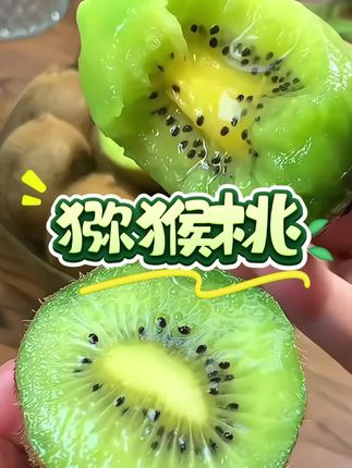 馋了没?徐香猕猴桃一口爆汁!甜到心里,直接炫一箱!#徐香猕猴桃 #应季新鲜水果 #现摘现发新鲜到家#猕猴桃 #清甜多汁