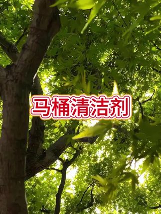 #马桶清洁剂#清洁剂强力去污厨房卫生间 #马桶清洗剂去污留香家用清香型