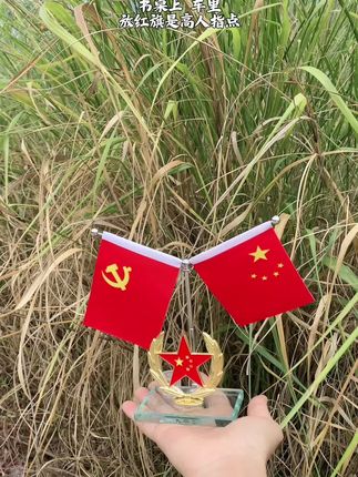 #红旗摆件 #红色文化传承 #祝祖国繁荣昌盛 #我爱我的祖国 #祖国在我心中