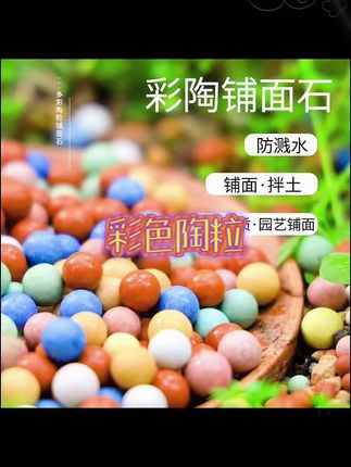 花友们 想在家里干净的养花,可以铺上这个彩色陶粒,即美观又保水保肥,还防尘!#花卉绿植 #养花小知识
