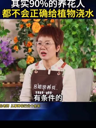 土壤湿度水分养花神器测量检测仪园艺高精度养花花盆浇水园林工具