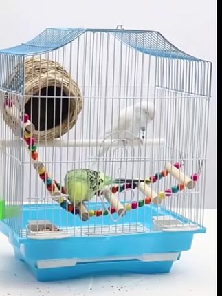 两位数买的手提鸟笼子,家用小型鹦鹉鸟笼,鹦鹉牡丹虎皮,珍珠鸟纹鸟绣眼家用豪华繁殖鸟笼,多款式可选,质量很好,两位数带回家,喜欢的朋友赶紧去拍。#鸟笼#强烈推荐#质量杠杠的#爆款热卖中