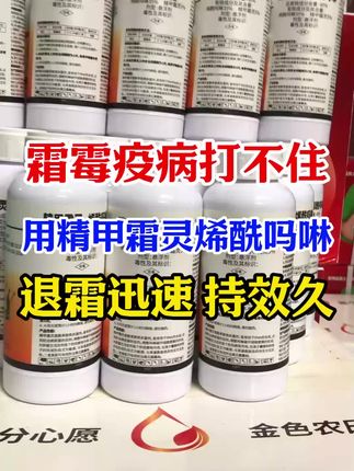 霜霉疫病不用怕,用它轻松解决#精甲霜灵烯酰吗啉 #病虫害防治 #霜霉病 #疫病 #霜霉病防治
