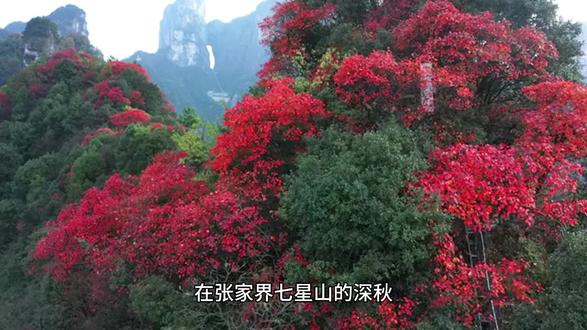 荒野求生决赛第6天两人退赛