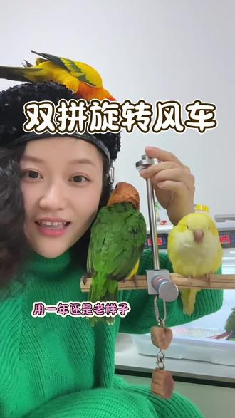 是谁说鹦鹉笼子里不需要玩具 这款双拼旋转风车 既可以魔爪还可以磨嘴巴 鹦鹉在家也不觉得无聊了#鹦鹉玩具#鹦鹉旋转风车#鹦鹉磨爪子#鹦鹉风车#鹦鹉解闷玩具