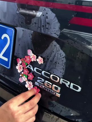 谁能拒绝来自雅阁车主的浪漫!快艾特你对象给你安排上#桃花车贴 #汽车装饰 #车载好物 #装饰摆件