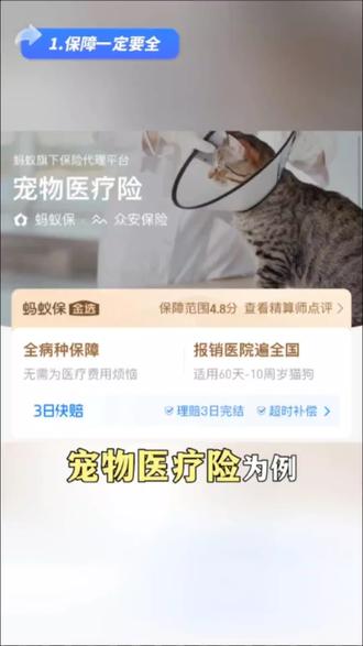 给宠物买保险,怎么选呢?这条视频帮你解读#支付宝宠物保险