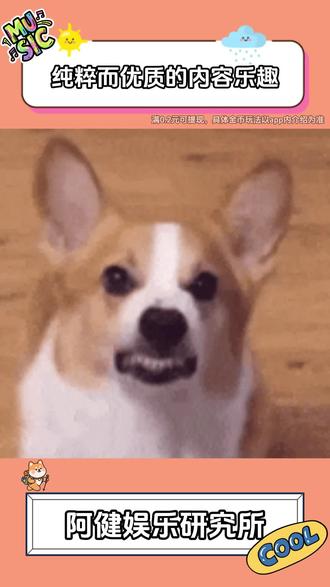 纯粹而优质的内容乐趣 #悟空浏览器 #金币 #福利 #小说