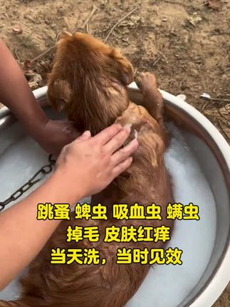 夸孩子也是一门学问要用对方式,不然只能适得其反#亲子教育#育儿#家庭教育#父母课堂#干货分享
