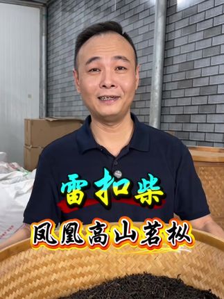 凤凰高山茗枞“雷扣柴”口感滑、香头足、还带有老枞独特的山季味!真的一杯入喉香到心肝头👍#凤凰单丛茶 #制茶人 #高山老枞 #口感非常好 #雷扣柴