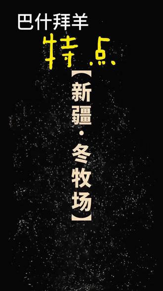巴什拜羊具有哪些特点呐? 1. 外貌特征:
- 毛色:以红棕为主,褐色、白色次之。头顶和鼻梁通常为白色,这是其较为明显的外貌特征之一。
- 羊角:公羊大都有螺旋形角,个别有四个角,角呈棱形;母羊多数无角。
- 体型:体格大,头大小适中,耳长,鼻梁微隆,颈中等长,胸宽而深,体躯呈长方形,后躯丰满,肌肉发达,腿长而结实,蹄小而坚实,肢势端正。尾根周围的脂肪呈方圆形,下缘中部有一浅纵沟,将其分为对称的两半,外面覆盖着短而密的毛,内侧无毛。母羊的乳房发育良好。
2. 生产性能:
- 生长速度快:在自然放牧条件下生长较快,4个月左右即可出栏,当年羊羔平均每日可增重300克左右。
- 产肉性能高:4至4.5月龄羔羊胴体重可达18千克,屠宰率高达56%,胴体骨肉比为1:4,净肉率为45%,居中国首位,是适合生产羔羊肉的肉用羊品种。
- 产毛性能好:被毛以棕红色为主,产毛量大于其他粗毛羊品种。每年春秋各剪一次毛,绒毛含量大,有髓毛较细,含少量干死毛,被毛光泽好。成年公羊年产毛1.63-1.89千克,成年母羊年产毛1.23-1.27千克。
3. 适应性强:具有耐寒、耐粗饲、抗病力强等特点,能够很好地适应新疆地区较为恶劣的自然环境,比如冬季的严寒天气。
4. 肉品品质好:羊肉胴体表面有白色脂肪覆盖,肌肉颜色浅红、有光泽,脂肪和肌肉分层明显,肉质细嫩,纤维少、脂肪度低,胆固醇含量低,无膻味,营养丰富,美味可口。
5. 繁殖特性良好:性成熟年龄为5-6月龄,公、母羊初配年龄为18个月,一般利用年限为5年。发情期主要集中在11月,发情周期平均15天,怀孕期平均为150.6天,产羔率为103%,羔羊出生重为4.60-4.7千克,断奶体重可达33.65-41.91千克,哺乳期日增重达250-344克,羔羊成活率(断奶后)为98%。
#新疆羊 #新疆美食 #羊肉 #巴什拜羊 #美食