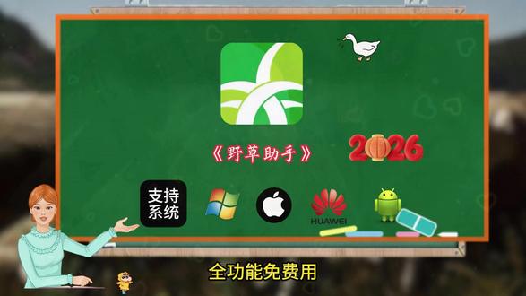 《白纸资源》#野草助手 #分享 #免费软件分享 #资源