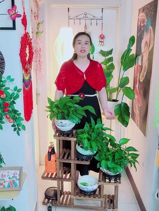 实木花架子太实惠了,带滑轮移动更方便,高温碳化木更结实,放在卧室客厅阳台都可以,放花盆鱼盆都可以。