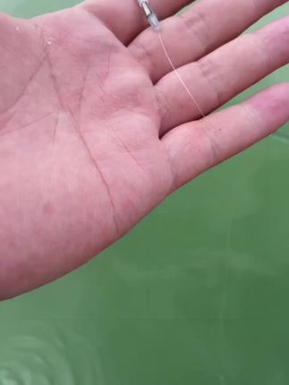 抗打卷能力很强的筏钓专用子线,一款钓活饵非常好用的子线,并且强度很高…@上热门🔥🔥🔥 @DOU+好生意 @DOU+上热门