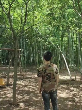 新鲜土鸡蛋!包邮还能退,太方便了! 今天早上捡的新鲜鸡蛋,下午安排发货!顺丰包邮到家,还有运费险哦!#夏天来点“凉快”美食