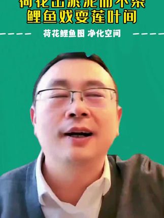鲤鱼莲花图超值特惠#知识分享 #传播正能量 #国学传统文化
