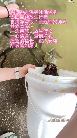 今日赴古佛寺沐佛浴身,古田二路放生行善,食清净斋饭,亲近师父师兄,共修善缘✨
一念慈悲,放生渡众;一心清净,浴佛净心
愿业消福长,家人安康,所求皆如愿🙏
#浴佛祈福 #放生行善 #观音法门