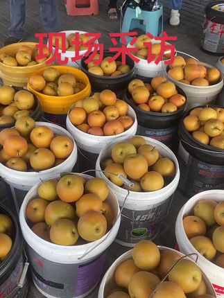 #新鲜采摘 #农家果园 #源头好货 #抖音助农扶农