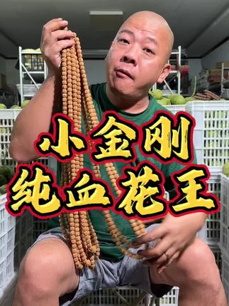 纯血花王 款式可选 #文玩手串 #文玩爱好者 #小金刚 #纯血花王