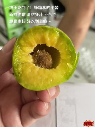 脆甜好吃的李子!!又脆又甜!不苦涩!好适合夏天~清脆爽口 肉厚脱骨离核 一口气炫完大半箱 巨甜巨好吃~#李子熟了 #李子 #脆李子 #新鲜应季水果 #优质农产品