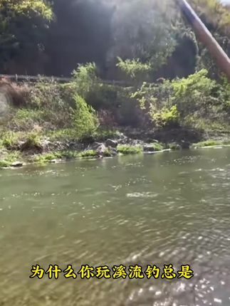 鹤渔人溪流钓专用线组一粒漂醒目灵敏抗风浪黑袖钩专钓溪石斑马口#溪流钓 #黑袖鱼钩