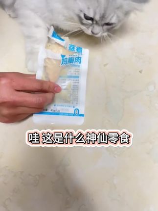 当你把宠物举高高,看看它们是什么反应😺#宠物vlog #我的养宠日常
