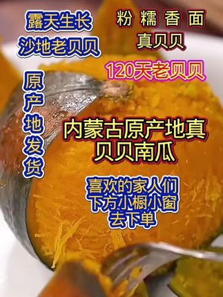 #内蒙古沙土地贝贝南瓜#粉糯香甜的贝贝南瓜 #内蒙古原产地发货