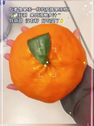 爱媛38号果冻橙子新鲜水果无籽皮薄肉厚酸甜多汁现摘现发孕妇水果