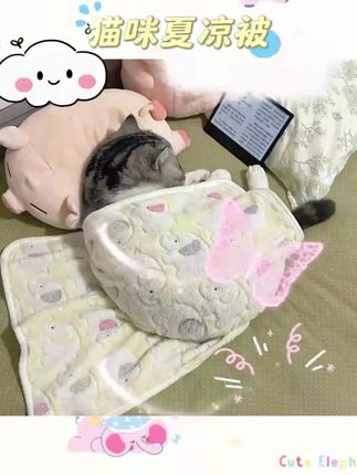 #猫咪夏凉被 🐱 猫猫专属夏凉被来啦!🌟 象图案,亲肤珊瑚绒材质,新款高颜值,超级可爱!加厚设计,让您的猫咪尽享舒适与温暖~💖#宠物用品 #宠物好物