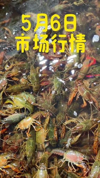 五一假期,5月6日,市场行情 五一期间,市场行情,小龙虾特价。#五一 #小龙虾 #海鲜 #美食