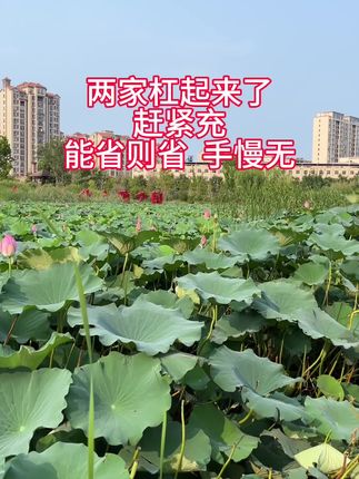 #纪录美好生活 #风景优美空气清新 #空气清新环境优美
