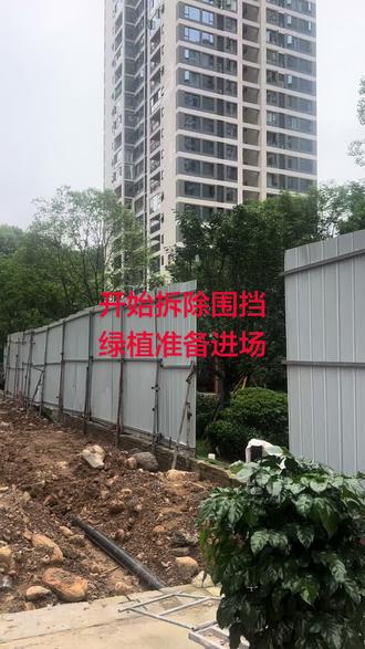 开始拆除围挡 绿植要陆续进场啦#工程进度