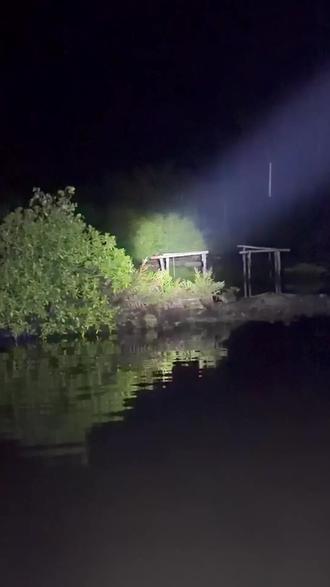 摘榴莲?狗都不来,还遇上咸水鳄了! 走过沼泽地一身伤,榴莲还没摘到,不过丝毫不影响我们的心情,乐观永远是什么的解药#咸水鳄 #赤道 #热带雨林 #摘榴莲 ##真实生活分享官