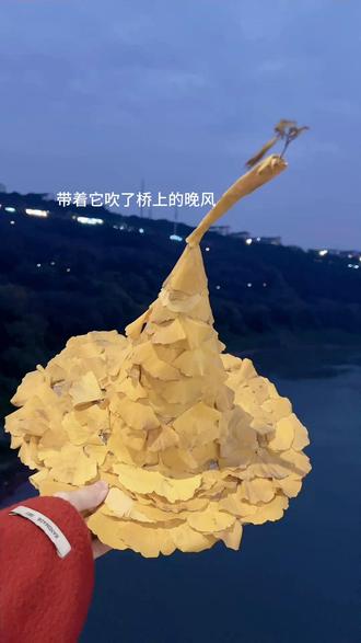 这个秋冬是不是都在捡树叶做手工啊~
属于南方小孩的圣诞帽🍂
执行力满分的妈妈孩子
不用羡慕别人~只会被羡慕~
走在路上都在被夸🥰
快来抓住秋天的尾巴!
做一顶独属这个季节的魔术帽
氛围感一整个拉满!
#原创视频 #银杏叶女巫帽 #圣诞节 #亲子日常 #落叶帽子