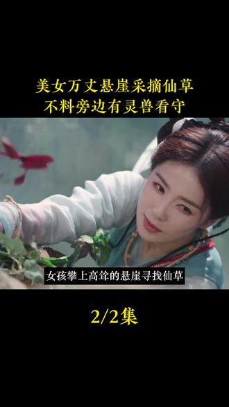 美女万丈悬崖采摘仙草 #电视剧解说