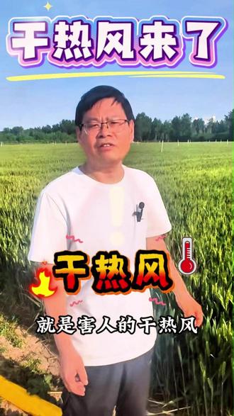 注意了注意了干热风来了 #热点小助手 #干热风灾害风险预警 #抖音助农扶农 #心系三农服务三农