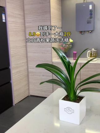 #立白洗洁精 年度神价来啦~8.9到手一大瓶足足2斤装!大品牌活动价快薅!#超便宜超划算