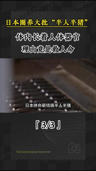 3 日本圈养大批“半人半猪”,体内长着人体器官,理由竟是救人命 #军事迷 #军事爱好者 #大国重器 #涨知识 #科普