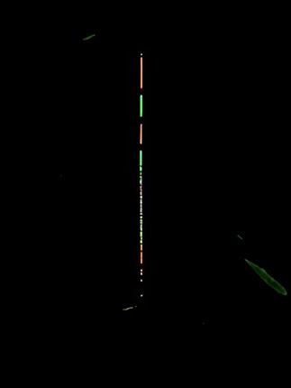 福翼OLED黑坑夜光浮漂鲫鲤鱼轻口电子漂偷驴高灵敏正钓竞技鱼漂 #高灵敏 #福翼 #OLED