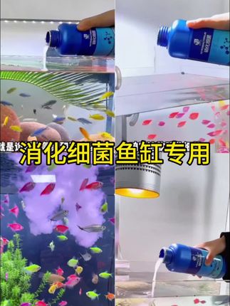 硝化细菌水 疯狂石头通用净水硝化细菌水,浑浊消化菌通用用净化水质硝化活菌液#硝化菌鱼缸专用 #硝化细菌水