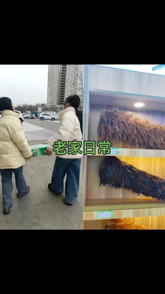 雪都下哪去了🌨️#记录我的真实生活 #搞笑 #生活感悟