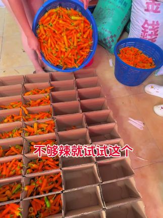 #辣椒#吃辣挑战